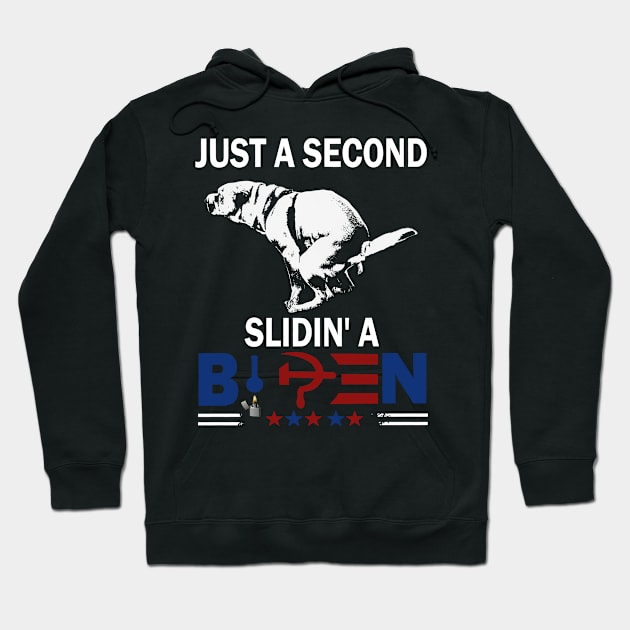 Dog Pooping Just A Second Slidin' A Biden Anti Joe Biden Hoodie by PlumleelaurineArt